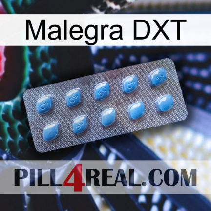 Malegra DXT viagra3